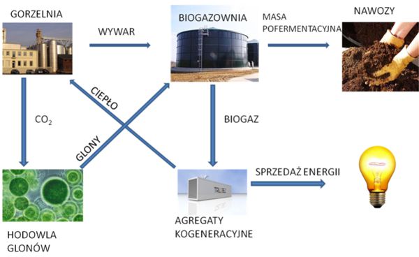 Schematic Trzebiechw