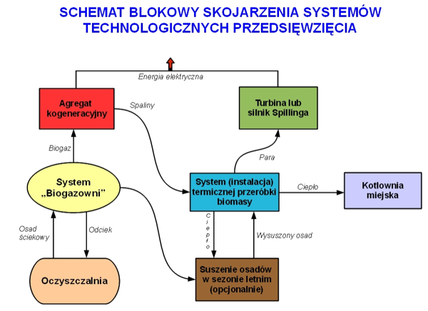 Schemat Wrzenia